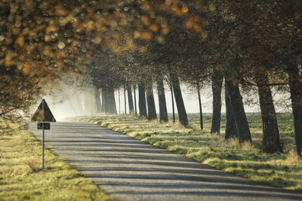 Professionele stratenmaker in Zwolle voert bestratingswerk uit met precisie en vakmanschap